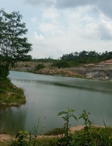 Dewan Dukung Pengembangan Budidaya Ikan Keramba Terapung