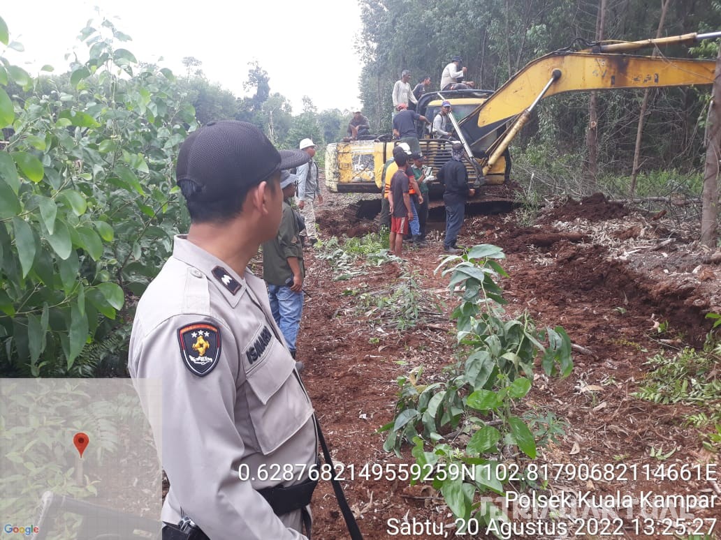 Di Depan Mata Suami, Wanita di Riau Diterkam Harimau Lalu Diseret ke Hutan