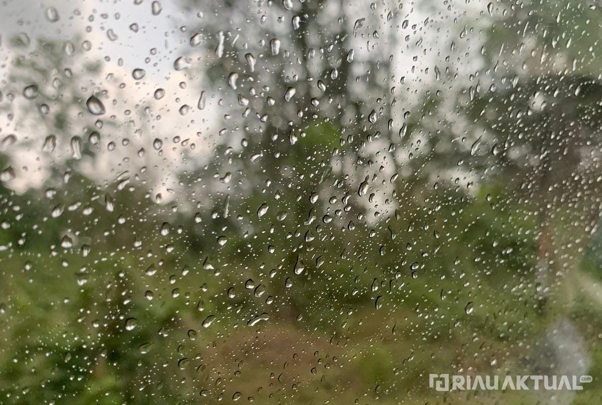BMKG Peringatkan Potensi Hujan Lebat Disertai Petir dan Angin Kencang di Riau