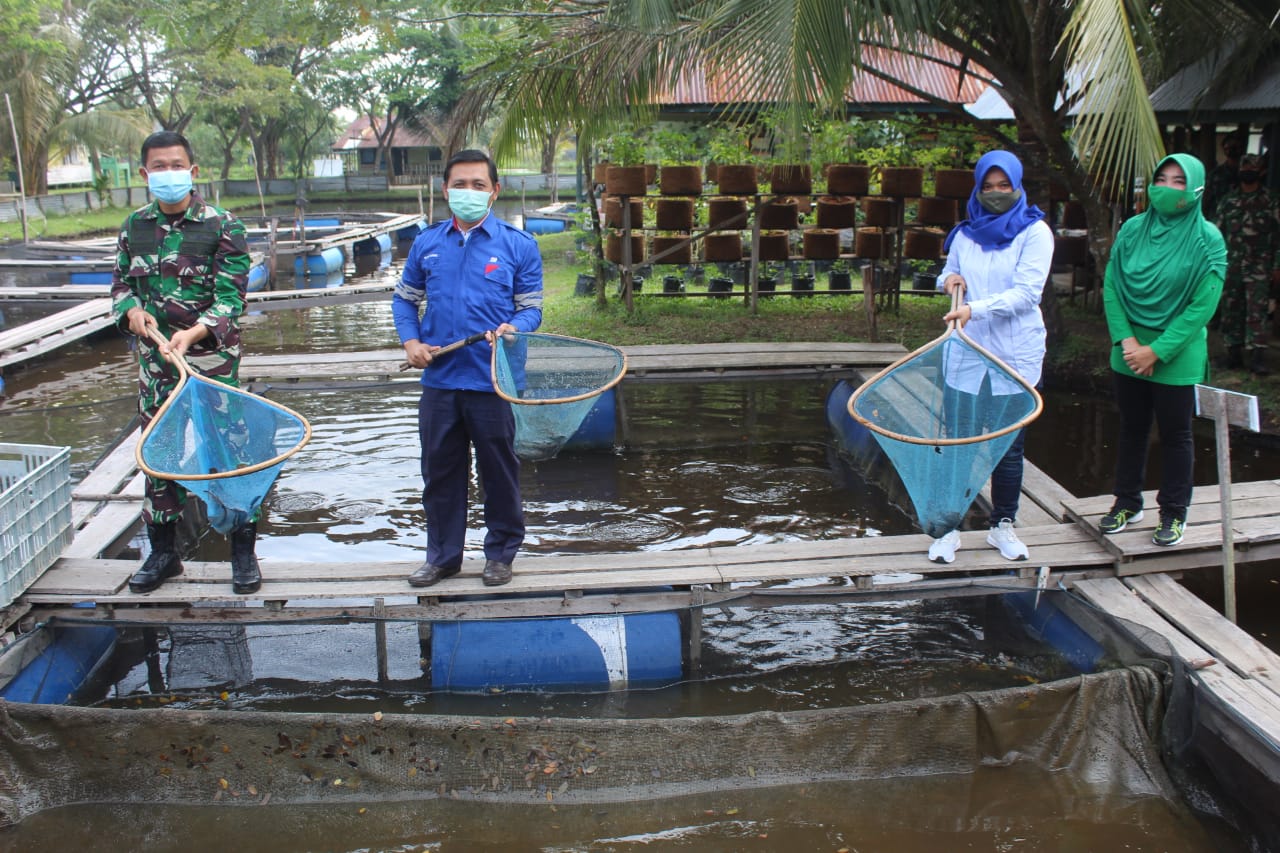 Dandim 0314 Inhil Bersama Manajer PLTU PJB Tembilahan Panen Ikan Lele Hasil Budidaya