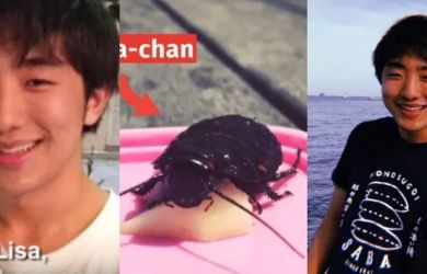 Tak Pandang Logika, Pria Jepang Nekad Pacari Seekor Kecoa