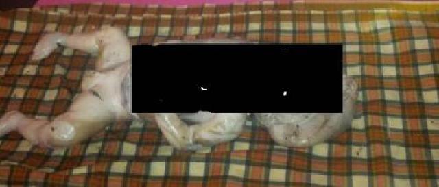 Warga Temukan Mayat Bayi Mengapung di Pantai Pasar Baru Pakning