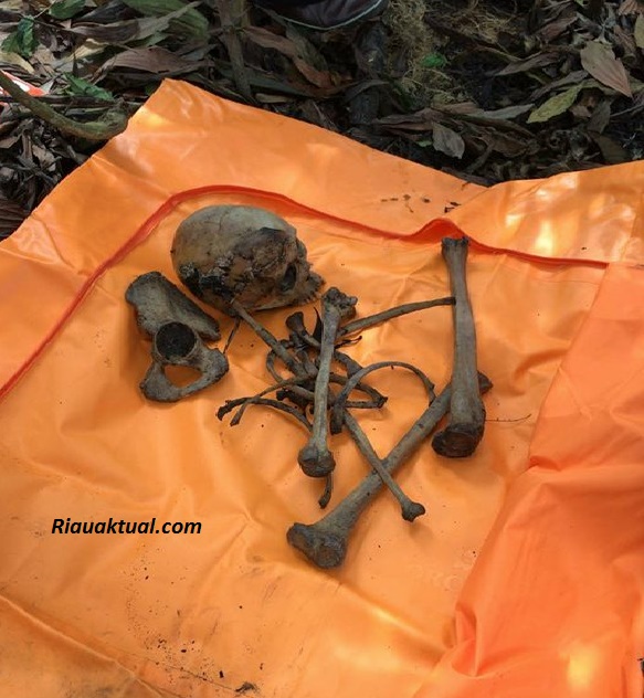 Geger, Warga Tenayan Raya Pekanbaru Temukan Tengkorak Manusia di Semak Belukar