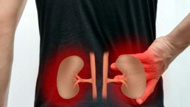Ternyata Kerusakan Ginjal Bisa Dipicu oleh Makanan ini