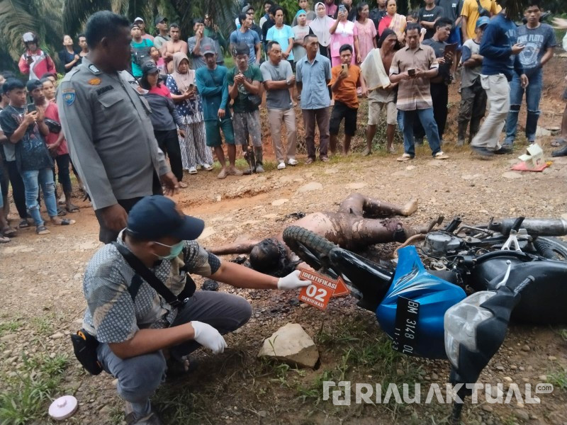 Mayat Guru Ditemukan Mengenaskan di Kebun Tandun Kampar, Polisi Lakukan Penyelidikan