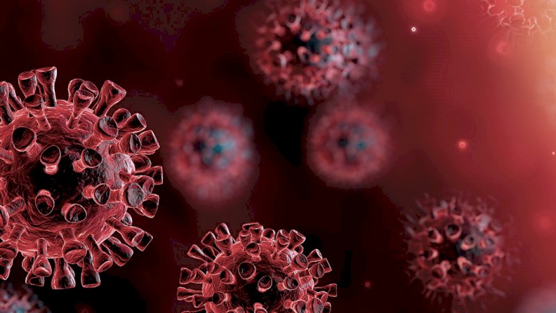 4 vitamin Untuk Meningkatkan Imun Untuk Lawan Covid-19