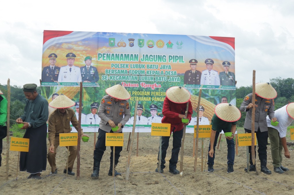 Dukung Ketahanan Pangan, Polres Inhu Tanam Jagung Pipil di Lahan 10 Hektare