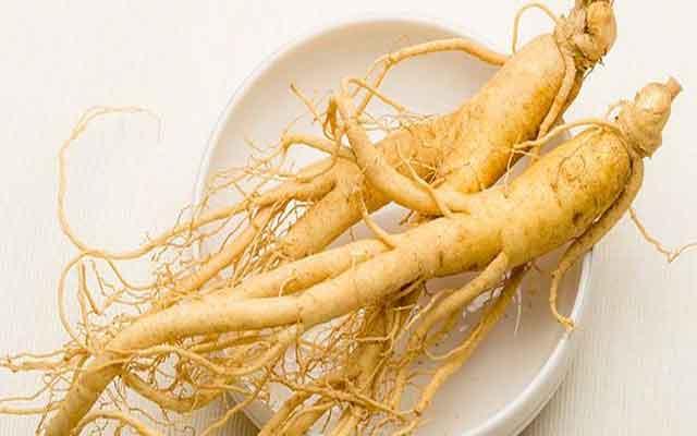 Ginseng Bisa Melawan Tanda Penuaan Dini di Wajah Loh!