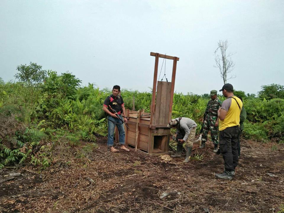 Tim Pindahkan Satu Perangkap yang Digunakan Untuk Tangkap Bonita