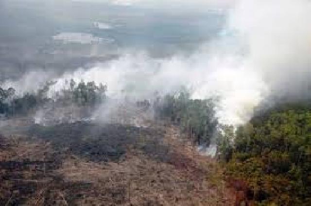 Kapolres : Perambah Lahan Cagar Biosfer Harus Segera Ditertibkan