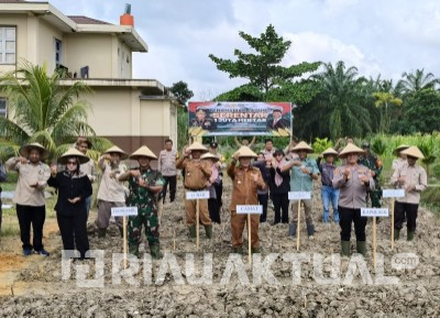 Dukung Swasembada Pangan 2025, Polsek Rimba Melintang Gelar Penanaman Jagung Serentak 1 Juta Hektar