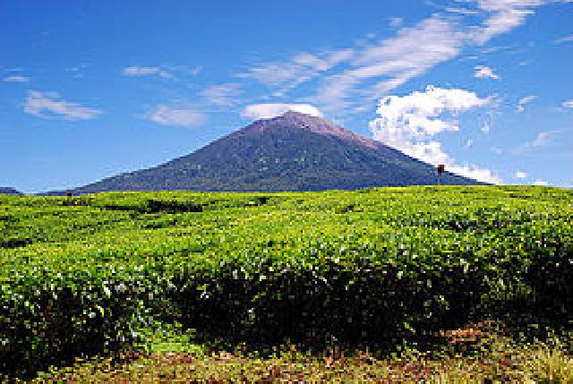 Gunung Kerinci berstatus waspada