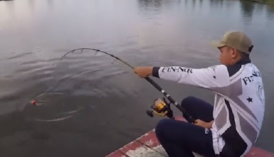 Tangkapan Ikan Ini Bikin Kaget, Lebih Besar dari Tubuh Pemancing