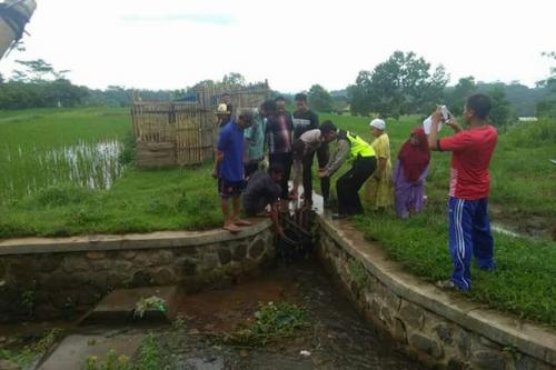 Awalnya Disangka Boneka, Ternyata Ditemukan di Tepi Sawah Itu Janin Bayi