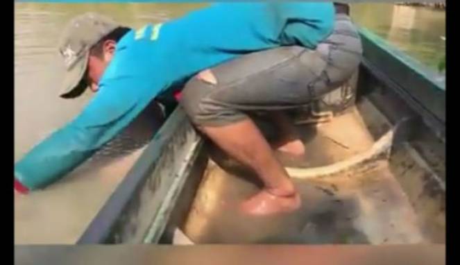 Tangkapan Nelayan Ini Bikin Kaget, Terseret ke Dalam Air