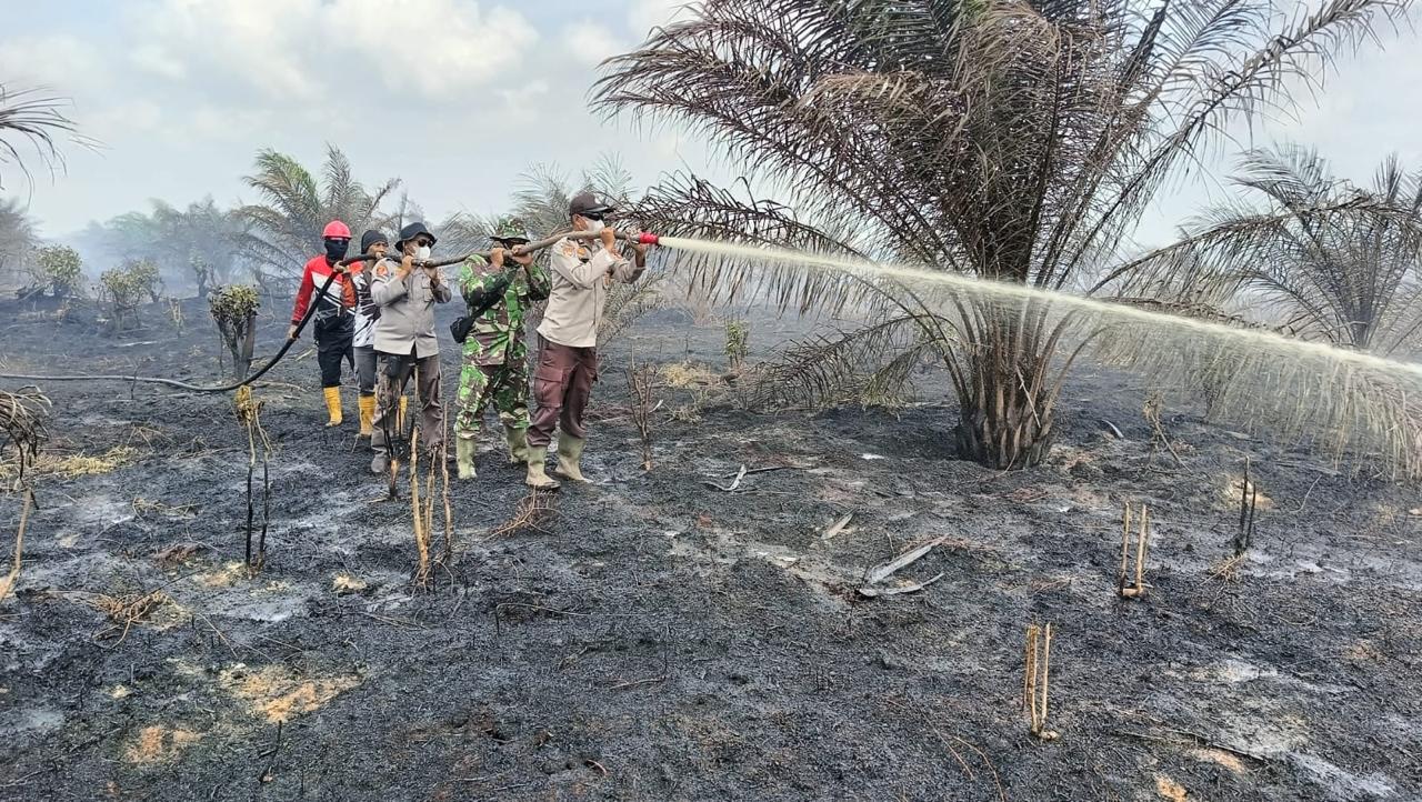 Karhutla Landa Tiga Lokasi Berbeda di Kabupaten Bengkalis