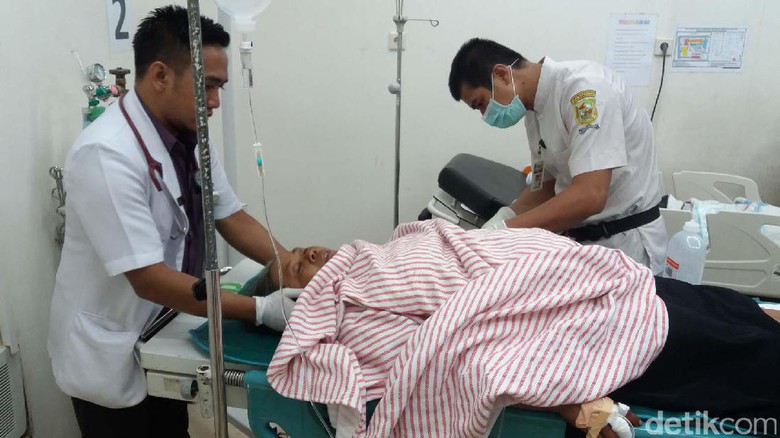 Seorang Nenek Diseruduk Babi Hutan