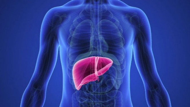 Ayo Bersihkan Organ Hati, Cukup Konsumsi Makanan Ini
