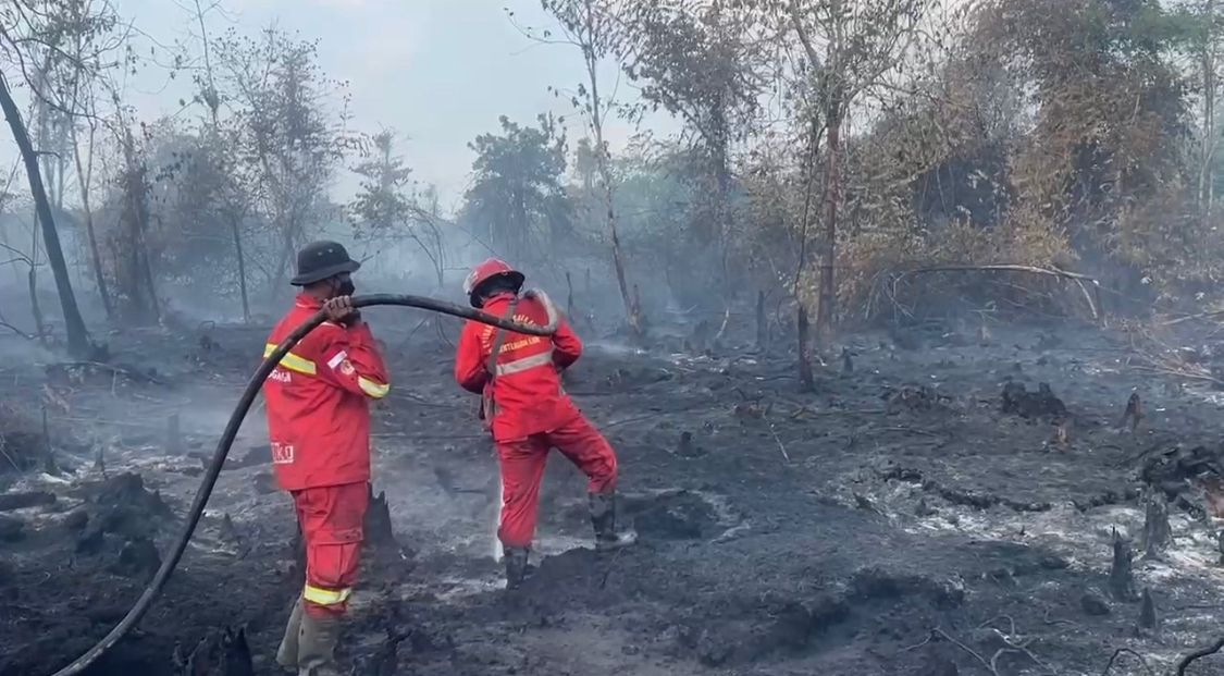 Wow, BNPB Rogoh Kocek Rp165 Ribu per Hari untuk Personel Satgas Karhutla di Riau