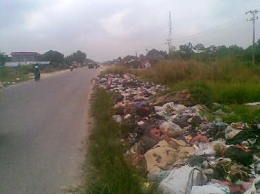 Pemko Pekanbaru Perlu Rp 80 M Tiap Tahun Untuk Sampah