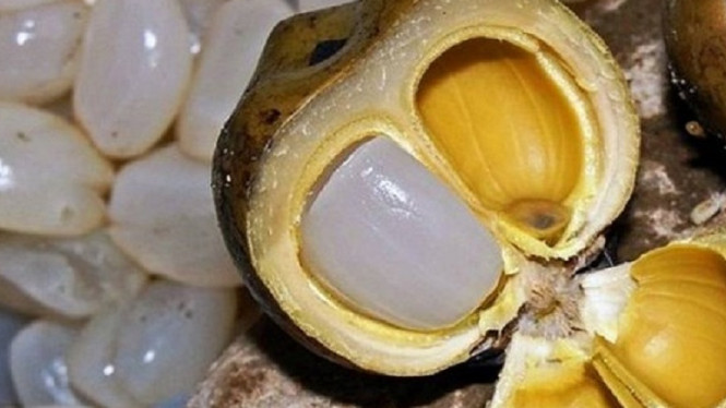 14 Manfaat Kolang-kaling untuk Kesehatan dan Kecantikan