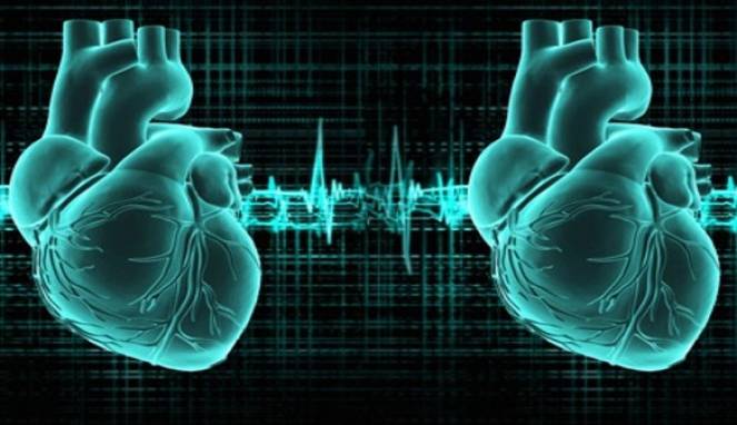Pasien di India Akhirnya Hidup dengan Dua Jantung