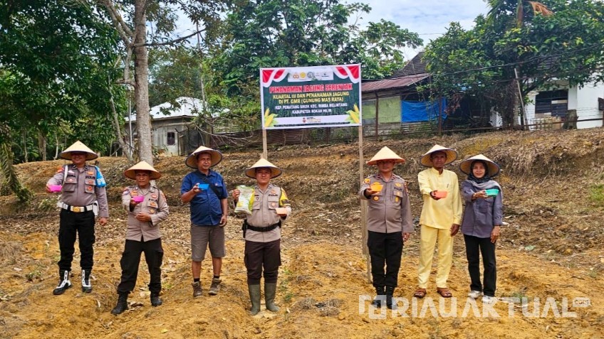Polsek Rimba Melintang dan PT GMR Tanam Jagung Kuartal III Dukung Ketahanan Pangan 2025 di Rohil
