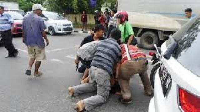 Raja Begal Pekanbaru Tumbang Ditembak saat Digerebek di MP Club