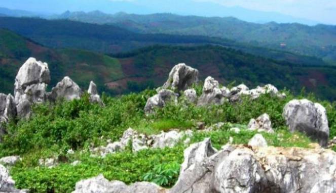 Nikmati Taman Alam di Stone Garden Bandung