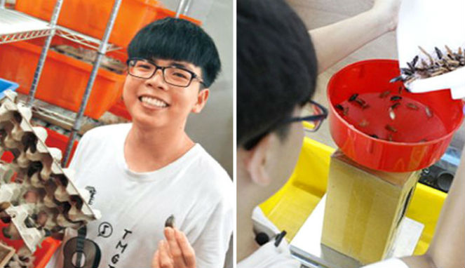 Ternak Kecoa, Pria Ini Raup Penghasilan Rp88 Juta Sebulan