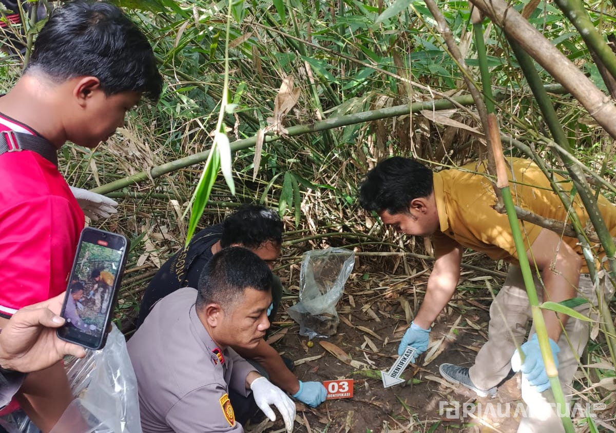 Penemuan Tengkorak Manusia di Kebun Sawit Gegerkan Warga Inhu