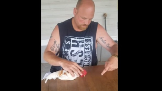 Pria Ini Mampu Hipnotis Ayam, Lihat Bagaimana Dia Melakukannya