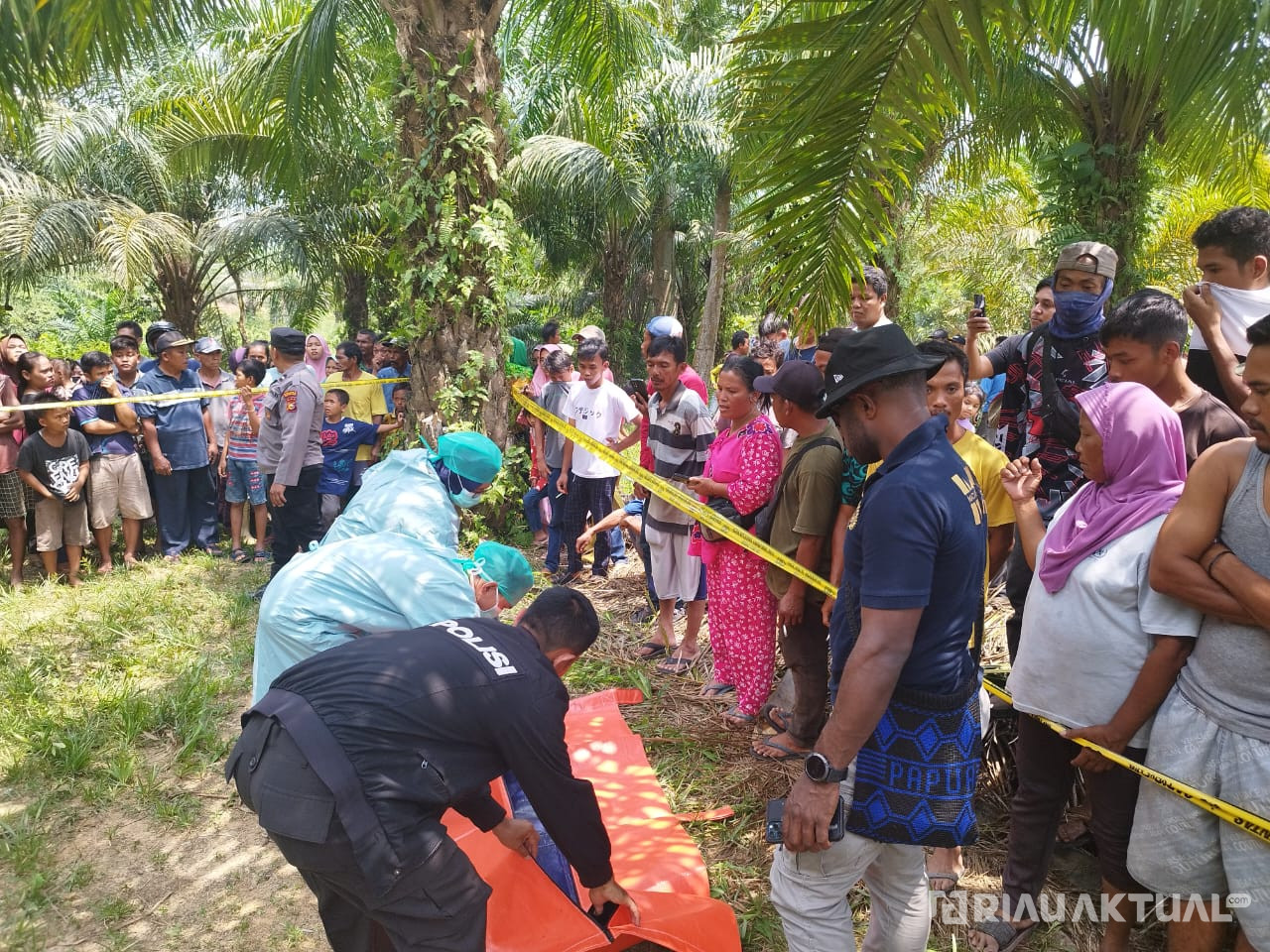 Temuan Tulang Manusia Kejutkan Warga Desa Pematang Obo, Kepala Terpisah dari Badan