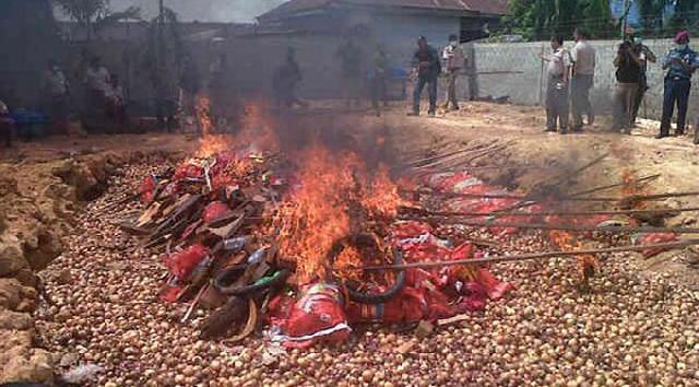 Bea Cukai Bengkalis Musnahkan 8 Ton Bawang Merah Ilegal