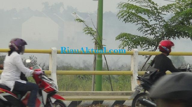 Kebakaran Lahan Terjadi di Tengah Kota Pekanbaru