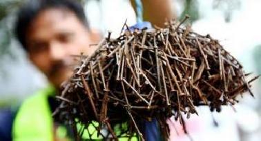 Semakin Marak, Polisi Diminta Tangkap Penebar Ranjau Paku di Pekanbaru