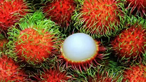 Teh dari Kulit Rambutan, Ampuh Turunkan Kolesterol Lho