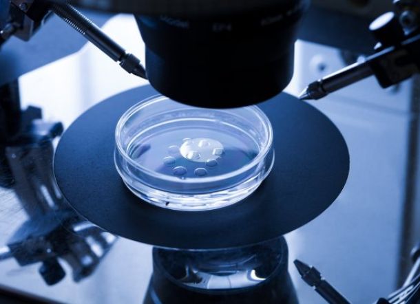 Sejak Diciptakan 40 Tahun Lalu, Lebih 8 Juta Bayi Tabung Telah Dilahirkan