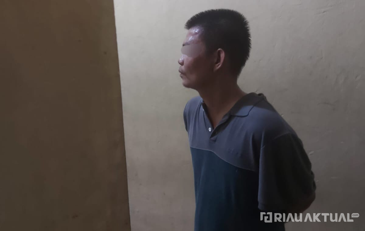 Viral! Pengemudi Ayla Melawan Arus dan Tabrak Kendaraan di Pekanbaru, Diduga ODGJ