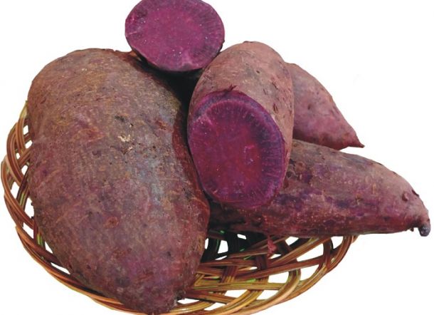Ini Kandungan Ubi Ungu Yang Disebut-sebut Bisa Tangkal Virus Corona