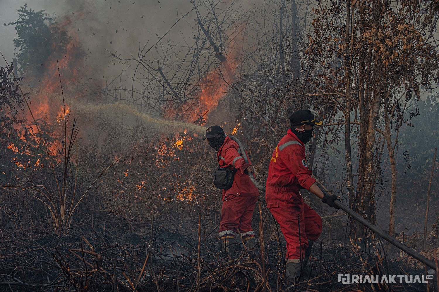 32 Titik Panas Terpantau di Riau, Didominasi Rokan Hilir