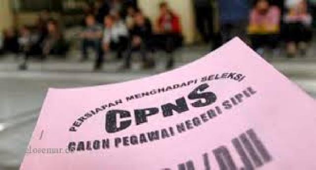 Pekanbaru Verifikasi Ulang Data CPNS K2