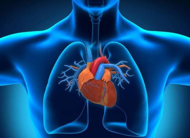 Ingat! Kebersihan Mulut Ada Kaitannya dengan Jantung