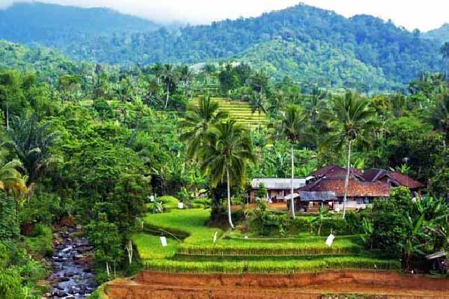 Enam Desa di Rokan Hilir Naik Tingkat