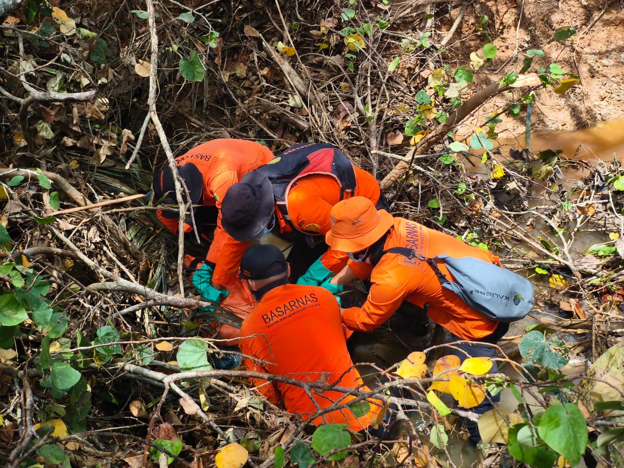 Lima Hari Hilang di Kebun Sawit Bengkalis, Tiopan Ditemukan Tewas oleh Tim SAR
