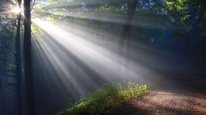 4 Bahaya Kesehatan Jika Tubuh Jarang Terkena Sinar Matahari