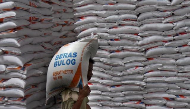 Bulog Riau – Kepri Sudah Beli 900 Ton Gabah Petani