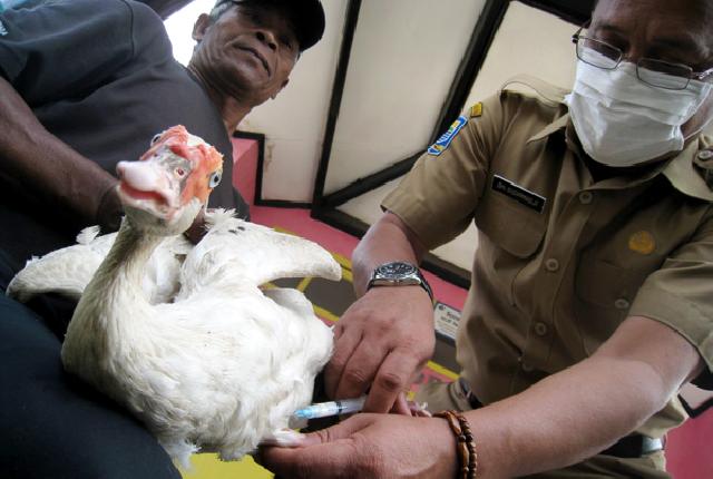 Vaksinasi Hewan Jadi Perhatian Serius Pemprov Riau