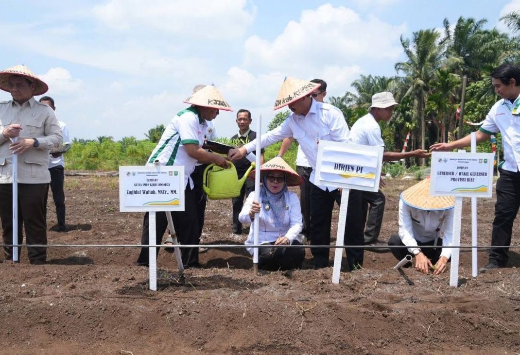 Wabup Misharti Dampingi WamendesPDTT Resmikan Demplot Ketahanan Pangan Nasional di Kampar