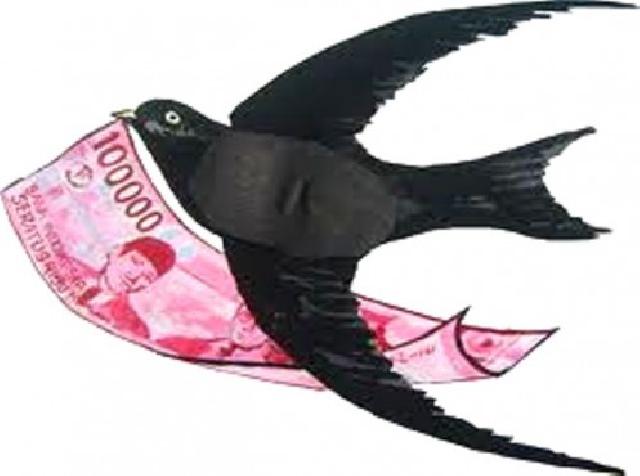 Walah ! 59 Pengusaha Walet Gak Bayar Pajak